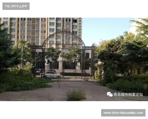 克罗地亚国家队的辉煌历史与现代成就分析 克罗地亚国家队的辉煌历史与现代成就分析