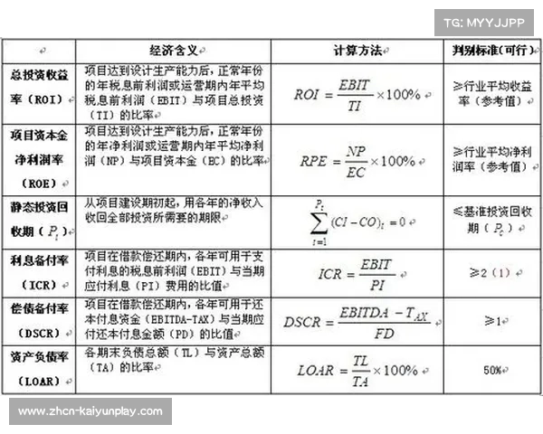资产负债率lev的概念解析及其在财务分析中的重要性 资产负债率lev的概念解析及其在财务分析中的重要性